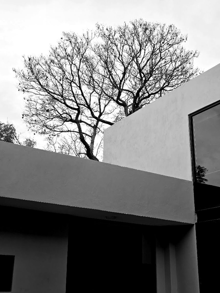 Obra Casa Áurea